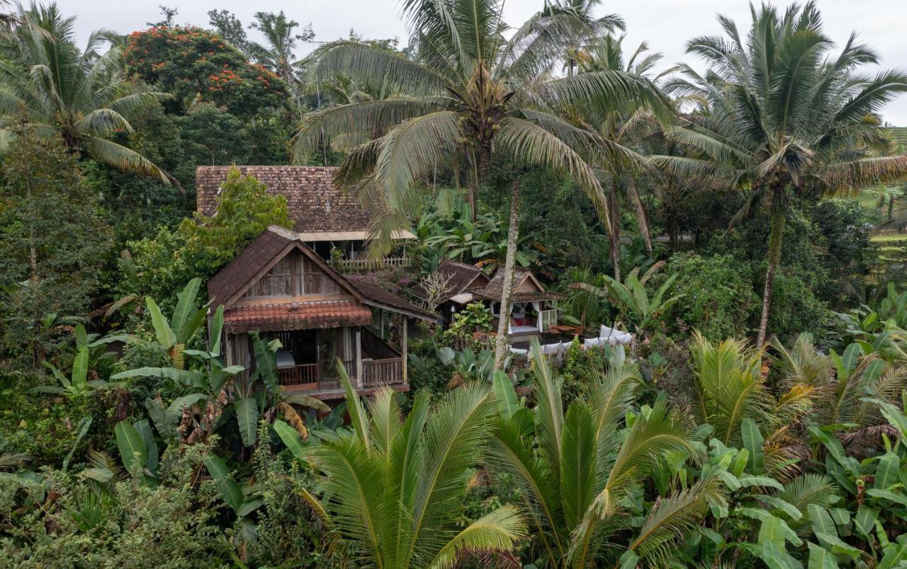 Villa Niente Bali Penebel Exterior foto